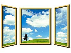 Window to the World